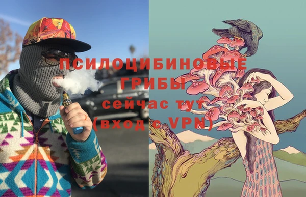 ГАЛЛЮЦИНОГЕННЫЕ ГРИБЫ Липки
