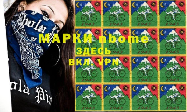 хмурый Каменка