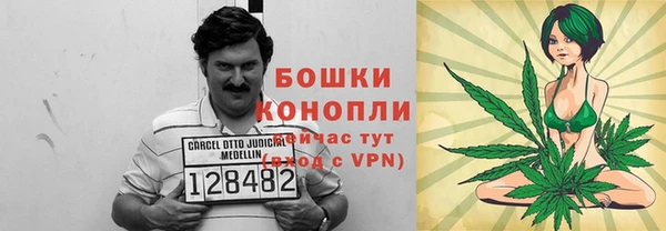 ГАЛЛЮЦИНОГЕННЫЕ ГРИБЫ Липки