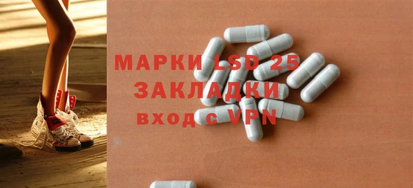 ГАЛЛЮЦИНОГЕННЫЕ ГРИБЫ Липки