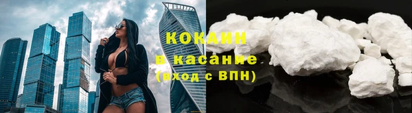 хмурый Каменка