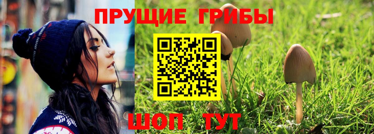 Галлюциногенные грибы Cubensis  цены наркотик  Нурлат  Вход с VPN  Псилоцибиновые грибы Magic Shrooms 